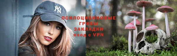 ALPHA-PVP Инта